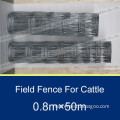 Safety Livestock Prevent Animal animal fence